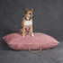 Washable Velvet Dog Bed Rose