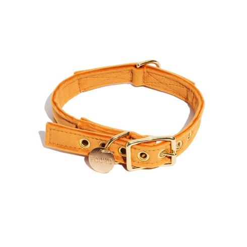Washable Velvet Dog Collar Marigold