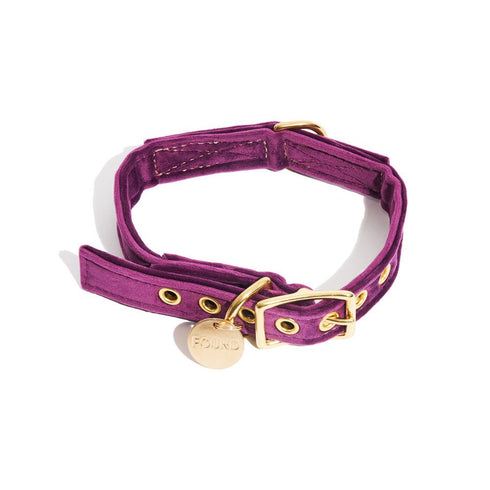 Washable Velvet Dog Collar Purple