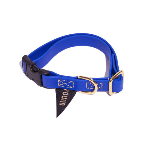 Water Resistant Dog Collar Bright Blue