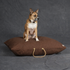 Waxed Cotton Canvas Dog Bed Cinnamon