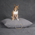 Waxed Cotton Canvas Dog Bed Grey