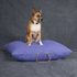 Waxed Cotton Canvas Dog Bed Light Blue