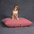 Waxed Cotton Canvas Dog Bed Nantucket