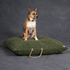 Waxed Cotton Canvas Dog Bed Olive