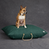 Waxed Cotton Canvas Dog Bed Pine