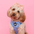 Wild Periwinkle Adjustable Dog Harness