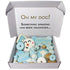 Winter Dog Treats Gift Box