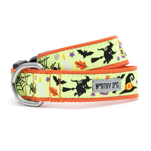 Witches Brew Dog Collar