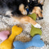 Wool Bone Dog Toy Wildflower