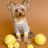 Wool Tennis Ball Dog Toy