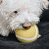 Wool Tennis Ball Dog Toy