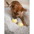 Wool Tennis Ball Dog Toy