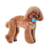 iCool Cooling Dog Scarf