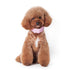 iCool Cooling Dog Scarf
