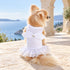 Lil' Angel Dog Dress