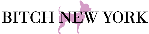 Bitch New York