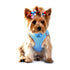 American River Dog Harness Light Blue