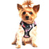 American River Dog Harness Pink Camo