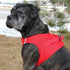 American River Dog Harness Red