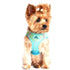 American River Ombre Dog Harness Aruba Blue