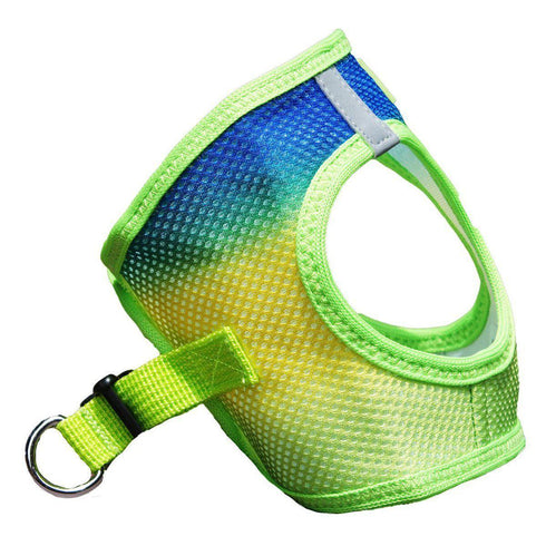 American River Ombre Dog Harness Cobalt Sport