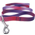 American River Ombre Dog Leash Raspberry Sundae