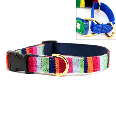At The Beach Maui Martingale Dog Collar