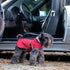 Bespoke Reversible Dog Coat/Raincoat Edward VIII