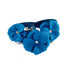 Beverly Classic Leather Dog Flowerette Slider Caribbean