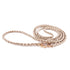 Beverly Finn Leather Dog Leash Champagne