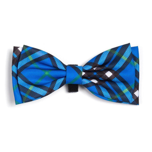Bias Plaid Blue Dog Bow Tie Large