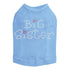 Big Sister Rhinestone Dog Tank