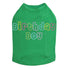 Birthday Boy Multicolor Rhinestone Dog Tank