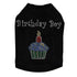 Birthday Boy Rhinestone Dog Tank