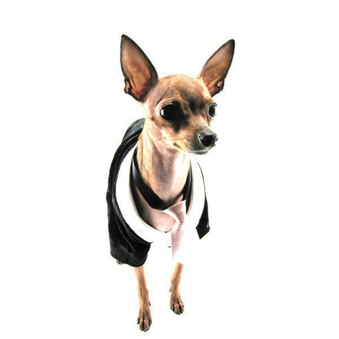Black And Silver Velvet And Silk Dog Tux Medium