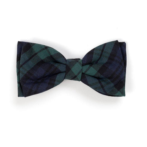 Black Watch Plaid Dog Bow Tie