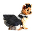 Black and White Polka Dot Dog Dress With Matching Leash