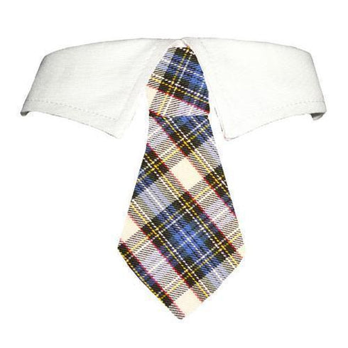 Blake Dog Shirt Collar