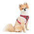 Blitzen Dog Harness A