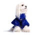 Blue Glitter Dog Sweatshirt