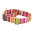 Bonnie EarthStyle Dog Collar