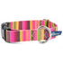 Bonnie EarthStyle Dog Collar