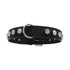 Box Dog Collar Black