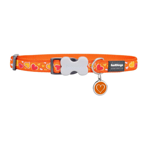 Breezy Love Orange Dog Collar/Tag Set