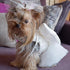 Bride's Maid Wedding Dog Dress