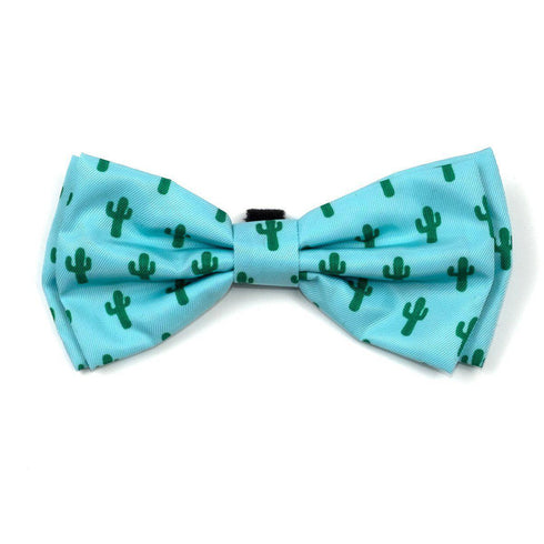 Cactus Dog Bow Tie