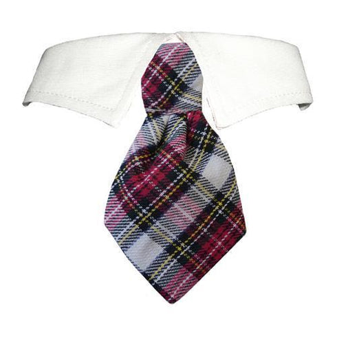 Carter Dog Shirt Collar