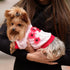 Chic Dog Sweatshirt Poppy XL