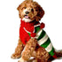 Christmas Elf Holiday Dog Sweater